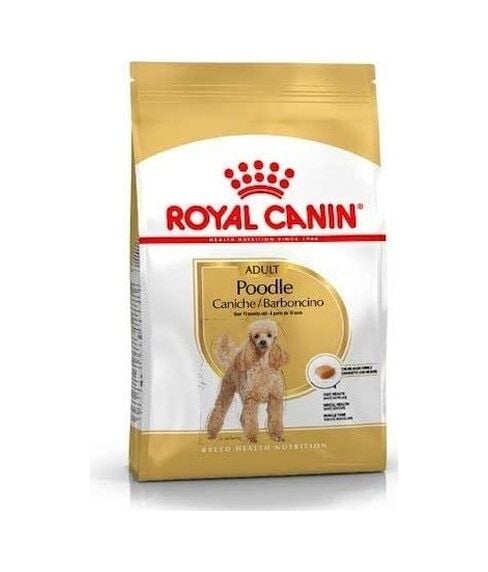 Royal Canin Adult Poodle Küçük Irk Yetişkin Köpek Maması 3 KG