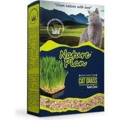 Nature Plan Kedi Çimi 500 Ml