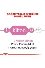 Royal Canin 1-12 Kitten Tavuklu Yavru Kedi Maması 10 Kg