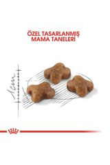 Royal Canin 1-12 Kitten Tavuklu Yavru Kedi Maması 10 Kg