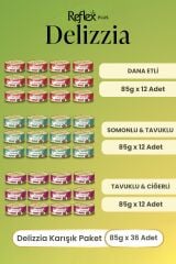 Delizzia Sos İçinde Parça Etli Karışık Yetişkin Kedi Maması 85 Gr