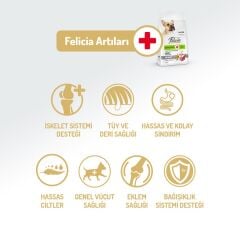 Felicia Small Mini Kuzu Etli Kolajenli Yetişkin Köpek Maması 3 Kg
