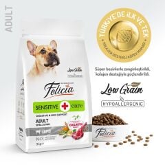 Felicia Small Mini Kuzu Etli Kolajenli Yetişkin Köpek Maması 3 Kg