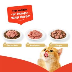 Wanpy Tahılsız Ton Balıklı Kedi Konserve 375 Gr x 12 Adet