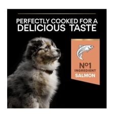 Pro Plan Medium Puppy Sensitive Somonlu Yavru Köpek Maması 12 Kg
