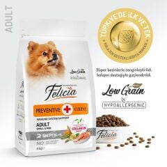 Felicia Small Mini  HypoAllergenic Somonlu Yetişkin Köpek Maması 3 Kg