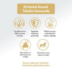 Felicia Small Mini  HypoAllergenic Somonlu Yetişkin Köpek Maması 3 Kg