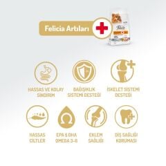 Felicia Small Mini  HypoAllergenic Somonlu Yetişkin Köpek Maması 3 Kg