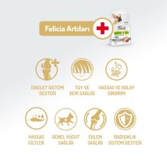 Felicia Small Mini Kuzu Etli Kolajenli Yetişkin Köpek Maması 6 Kg