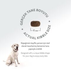 Felicia Small Mini Kuzu Etli Kolajenli Yetişkin Köpek Maması 6 Kg