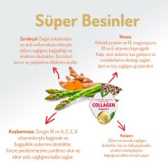 Felicia Small Mini Kuzu Etli Kolajenli Yetişkin Köpek Maması 6 Kg