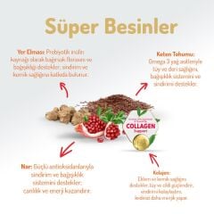 Felicia Sterilised Düşük Tahıllı Somonlu Kısırlaştırılmış Yetişkin Kedi Maması 12 KG