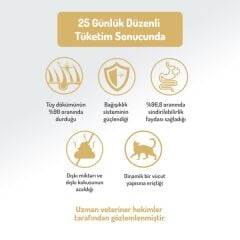 Felicia Sterilised Düşük Tahıllı Somonlu Kısırlaştırılmış Yetişkin Kedi Maması 12 KG