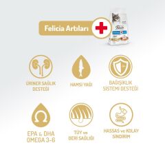 Felicia Yetişkin Somonlu Az Tahıllı HypoAllergenic Kedi Maması 2 Kg