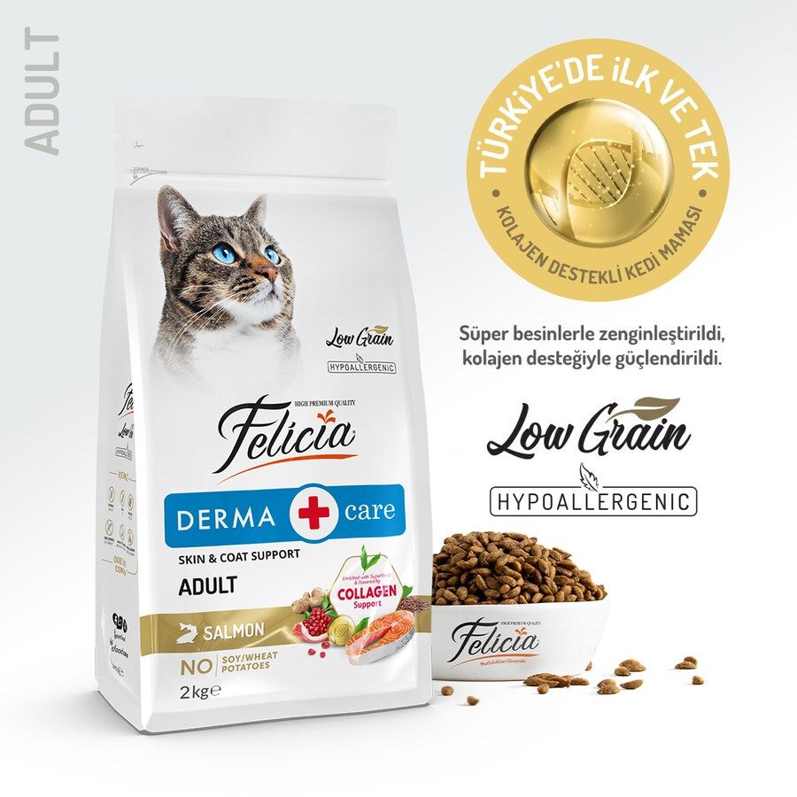 Felicia Yetişkin Somonlu Az Tahıllı HypoAllergenic Kedi Maması 2 Kg