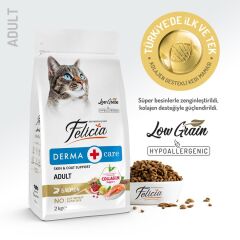Felicia Yetişkin Somonlu Az Tahıllı HypoAllergenic Kedi Maması 2 Kg