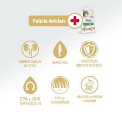 Felicia Yetişkin Tavuklu Az Tahıllı HypoAllergenic Kedi Maması 12 Kg