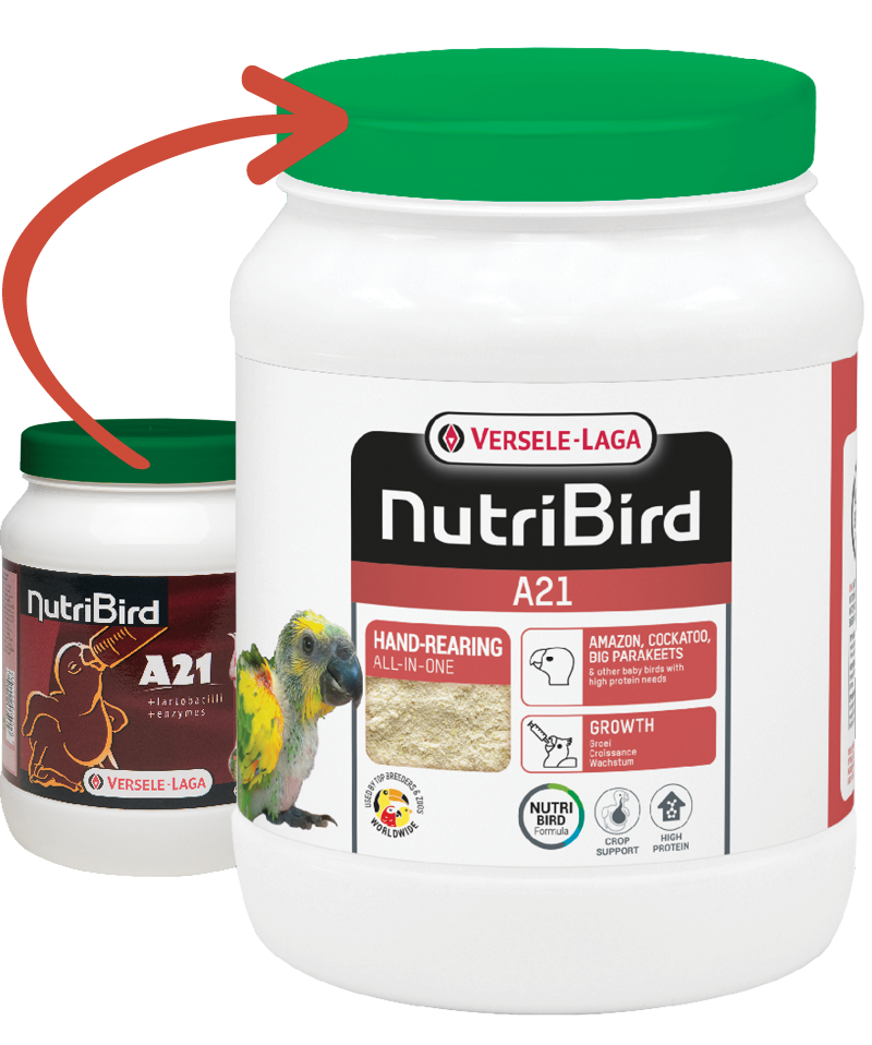 Nutrıbırd A21 Elle Besleme Yetiştirme Maması 800 Gr