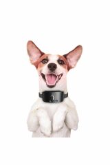 Doggie Havlama Önleyici Eğitim Tasması Siyah