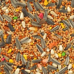 Quik Paraket Yemi 750 Gr