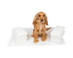 Puremed Kedi Köpek Çiş Pedi 60 x 90 CM 30'lu
