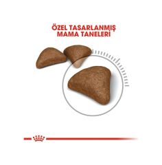 Royal Canin Hairball Tüy Yumağı Kontrolü İçin Kedi Maması 2 KG