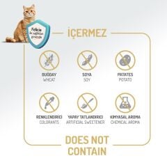 Felicia Sterilised Somonlu Kısır Yetişkin Kedi Maması 12 Kg