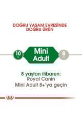 Royal Canin Mini Yetişkin Köpek Maması 4 Kg