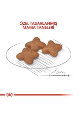 Royal Canin Mini Yetişkin Köpek Maması 4 Kg