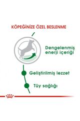 Royal Canin Mini Yetişkin Köpek Maması 4 Kg