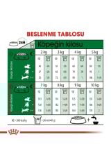 Royal Canin Mini Yetişkin Köpek Maması 4 Kg